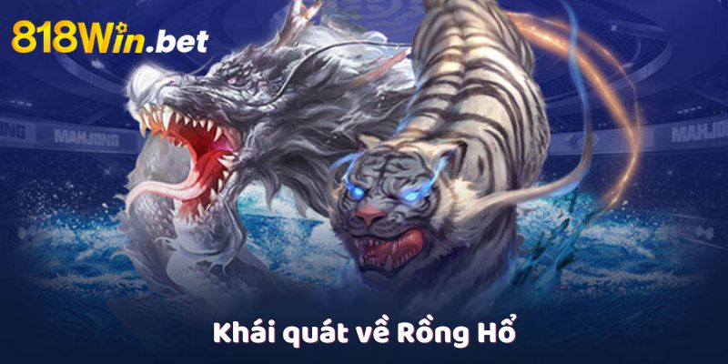 khai-quat-ve-rong-ho-1